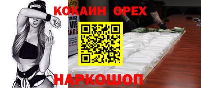крисы Гатчина