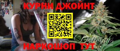 крисы Гатчина