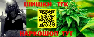 крисы Гатчина