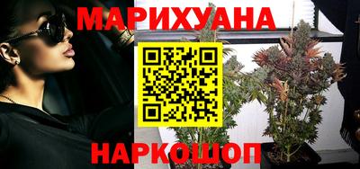 крисы Гатчина