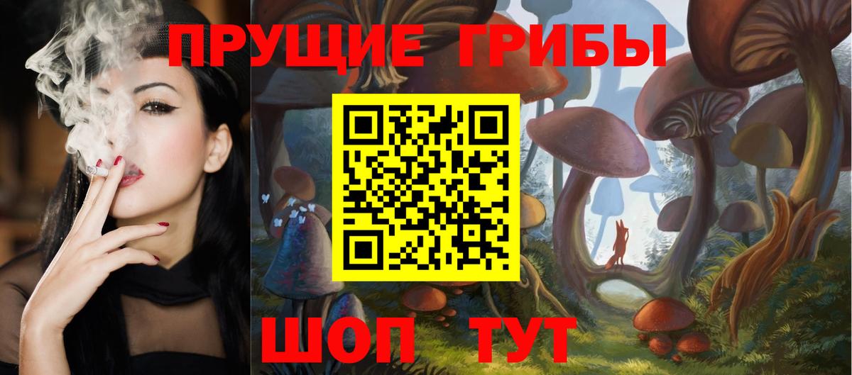 Галлюциногенные грибы мицелий  сколько стоит  Галлюциногенные грибы Psilocybine cubensis  Новоалександровск  Вход с VPN 